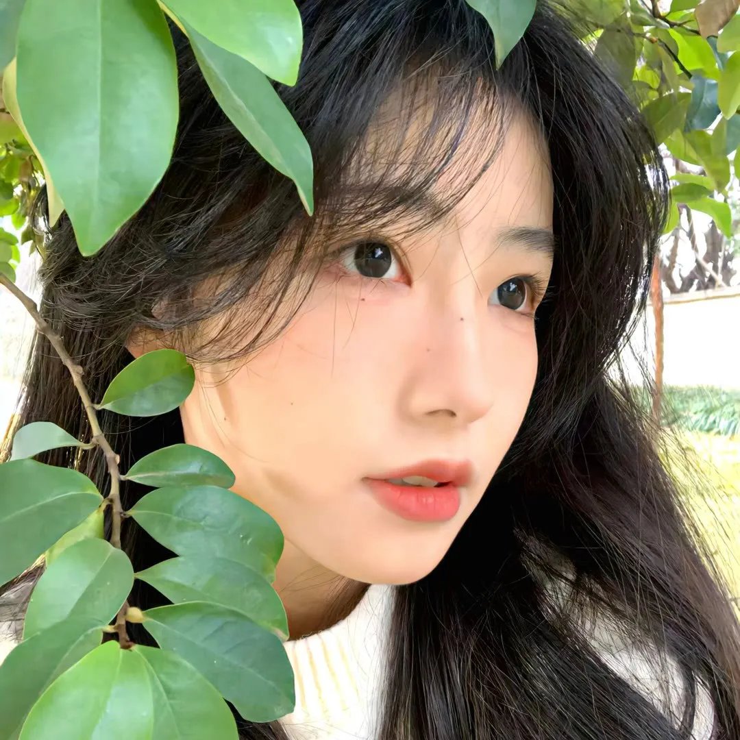 爱的艺术